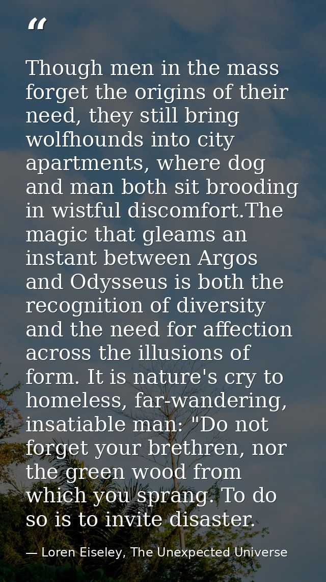 Though men in the mass forget the origins of their need, they still bring wolfhounds into city apartments, where dog and — Loren Eiseley, The Unexpected Universe