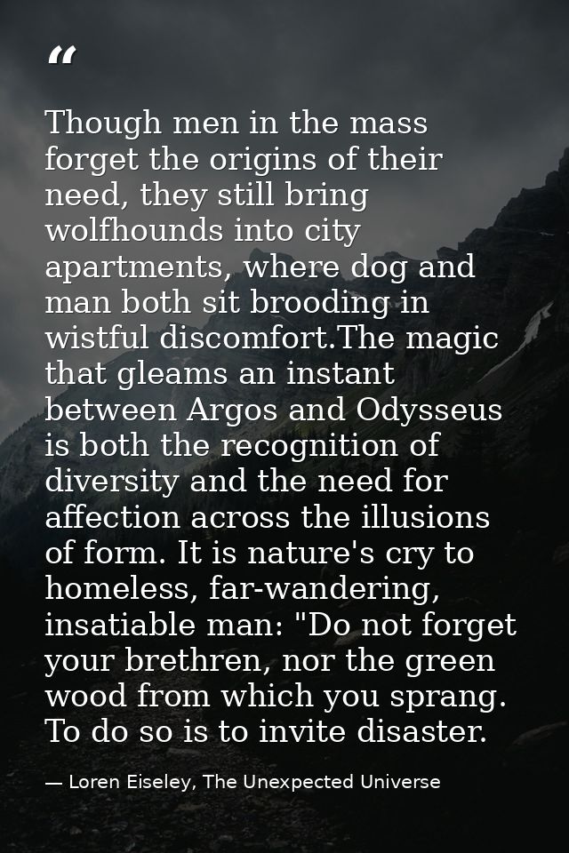 Though men in the mass forget the origins of their need, they still bring wolfhounds into city apartments, where dog and — Loren Eiseley, The Unexpected Universe