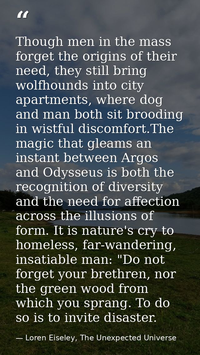 Though men in the mass forget the origins of their need, they still bring wolfhounds into city apartments, where dog and — Loren Eiseley, The Unexpected Universe