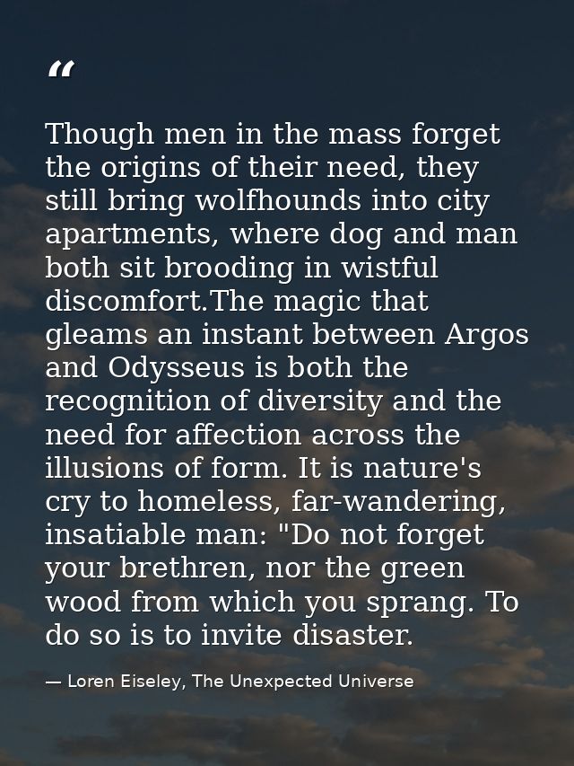 Though men in the mass forget the origins of their need, they still bring wolfhounds into city apartments, where dog and — Loren Eiseley, The Unexpected Universe