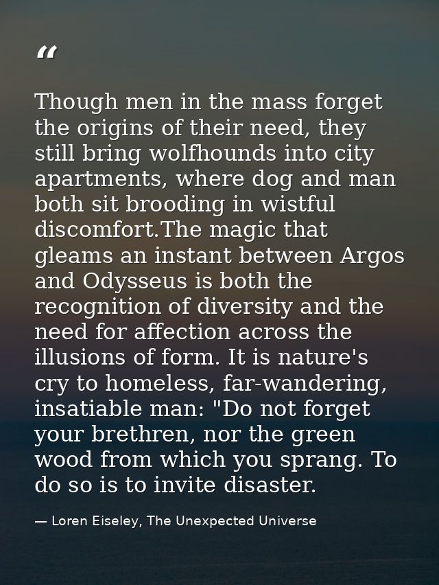 Though men in the mass forget the origins of their need, they still bring wolfhounds into city apartments, where dog and — Loren Eiseley, The Unexpected Universe