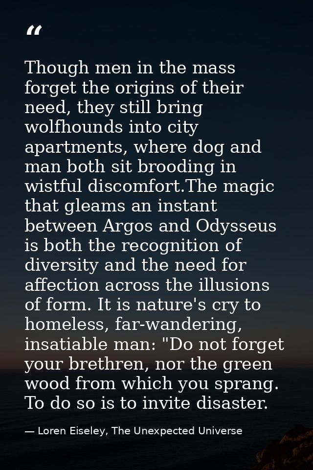 Though men in the mass forget the origins of their need, they still bring wolfhounds into city apartments, where dog and — Loren Eiseley, The Unexpected Universe