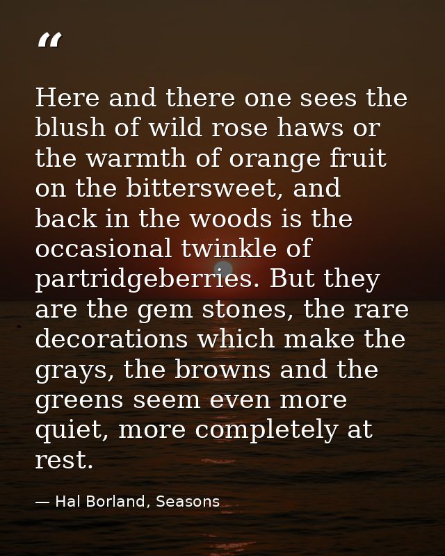 Here and there one sees the blush of wild rose haws or the warmth of orange fruit on the bittersweet, and back in the wo — Hal Borland, Seasons