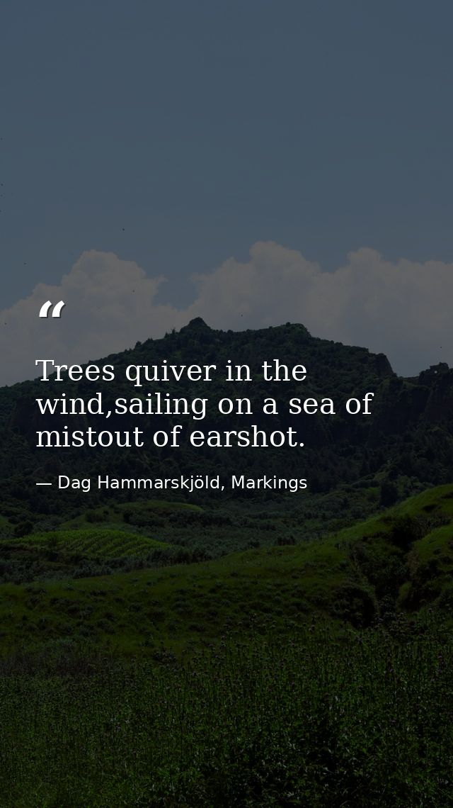 Trees quiver in the wind,sailing on a sea of mistout of earshot. — Dag Hammarskjöld, Markings