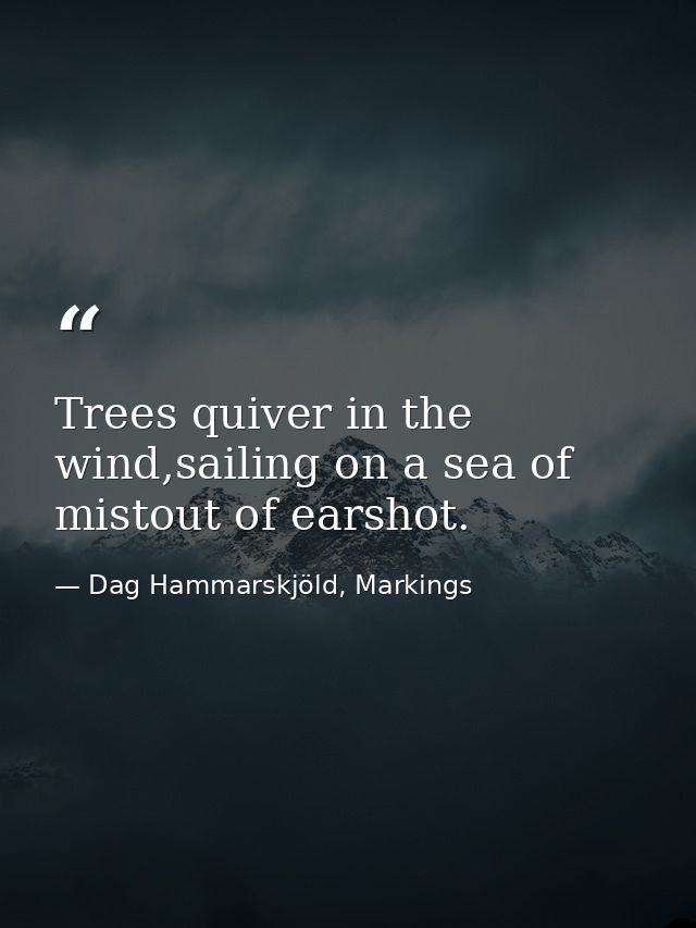 Trees quiver in the wind,sailing on a sea of mistout of earshot. — Dag Hammarskjöld, Markings