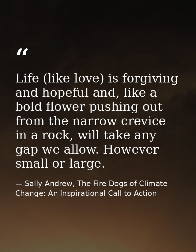 Life (like love) is forgiving and hopeful and, like a bold flower pushing out from the narrow crevice in a rock, will ta — Sally Andrew, The Fire Dogs of Climate Change: An Inspirational Call to Action
