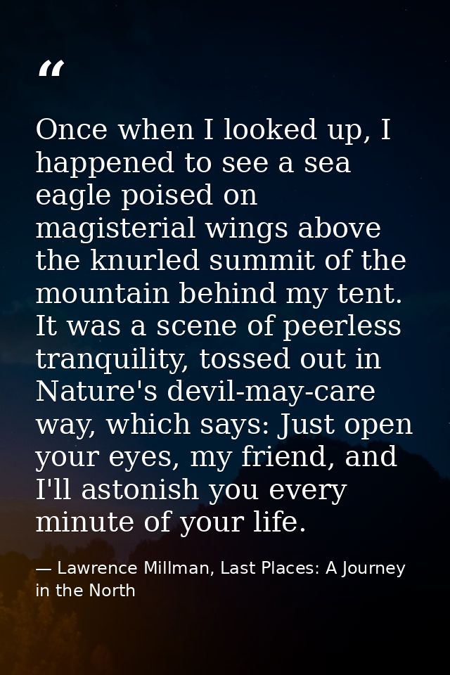 Once when I looked up, I happened to see a sea eagle poised on magisterial wings above the knurled summit of the mountai — Lawrence Millman, Last Places: A Journey in the North