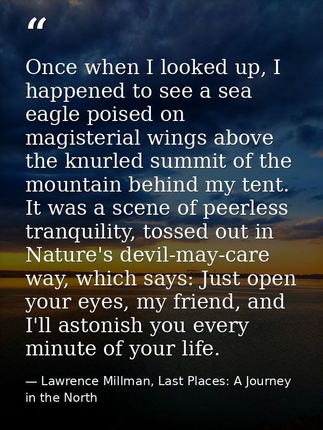 Once when I looked up, I happened to see a sea eagle poised on magisterial wings above the knurled summit of the mountai — Lawrence Millman, Last Places: A Journey in the North