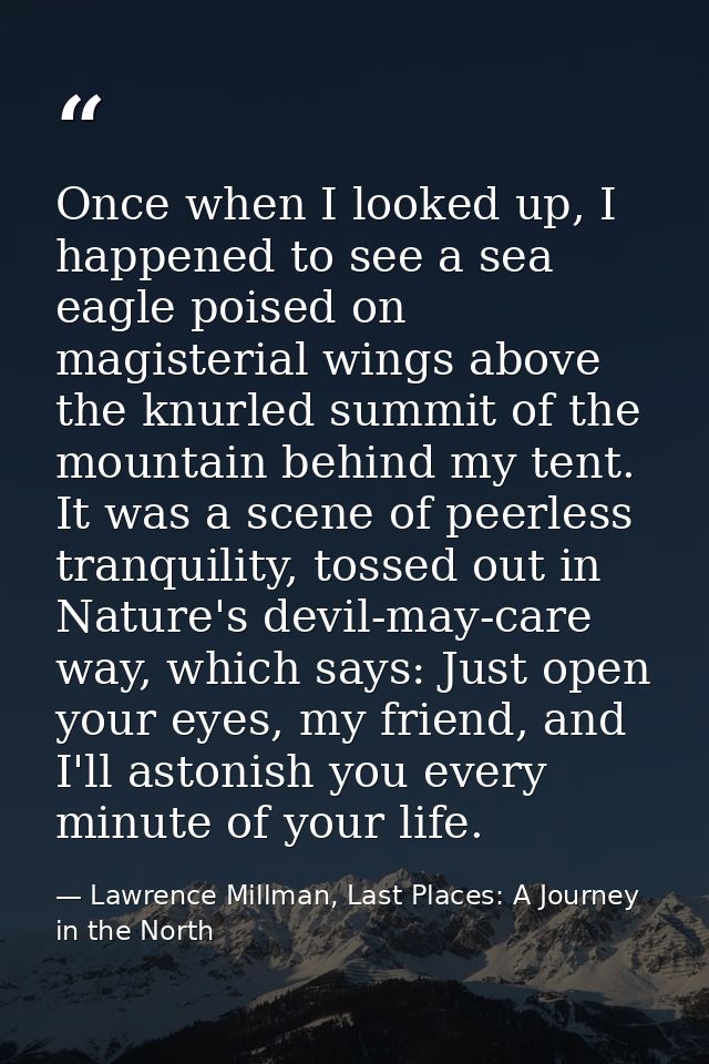 Once when I looked up, I happened to see a sea eagle poised on magisterial wings above the knurled summit of the mountai — Lawrence Millman, Last Places: A Journey in the North