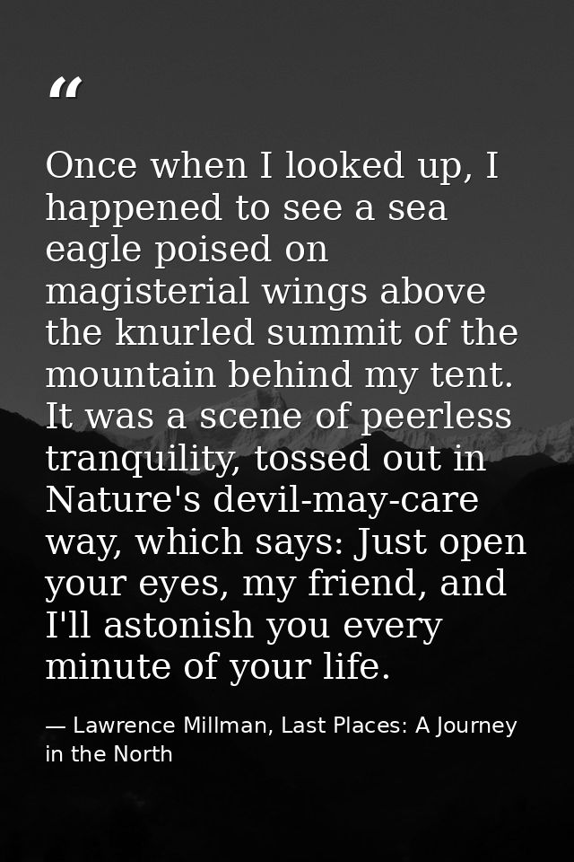 Once when I looked up, I happened to see a sea eagle poised on magisterial wings above the knurled summit of the mountai — Lawrence Millman, Last Places: A Journey in the North