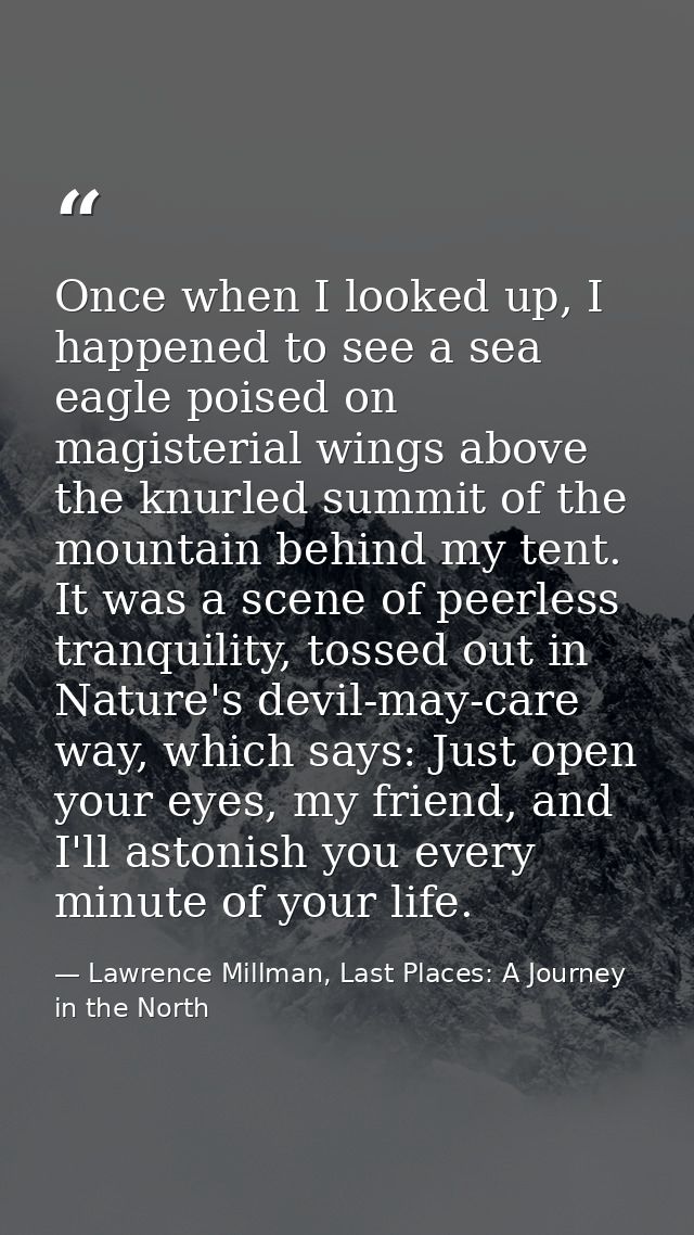 Once when I looked up, I happened to see a sea eagle poised on magisterial wings above the knurled summit of the mountai — Lawrence Millman, Last Places: A Journey in the North