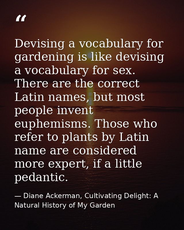 Devising a vocabulary for gardening is like devising a vocabulary for sex. There are the correct Latin names, but most p — Diane Ackerman, Cultivating Delight: A Natural History of My Garden
