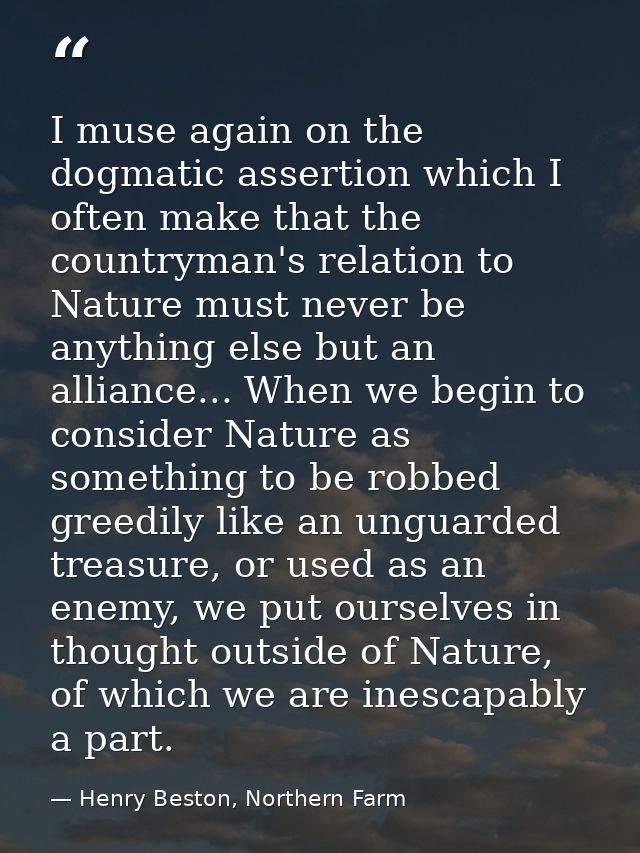 I muse again on the dogmatic assertion which I often make that the countryman's relation to Nature must never be anythin — Henry Beston, Northern Farm