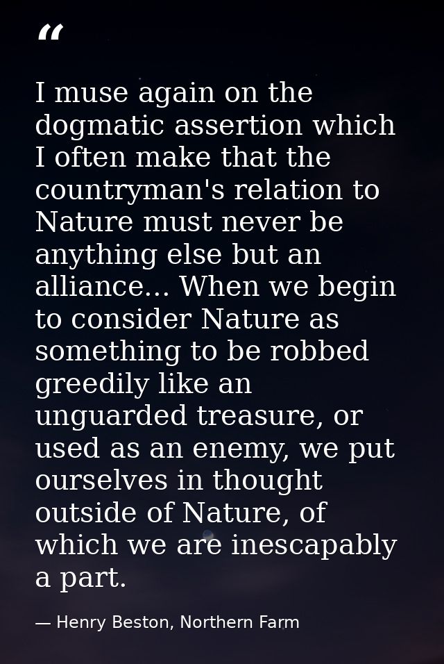 I muse again on the dogmatic assertion which I often make that the countryman's relation to Nature must never be anythin — Henry Beston, Northern Farm