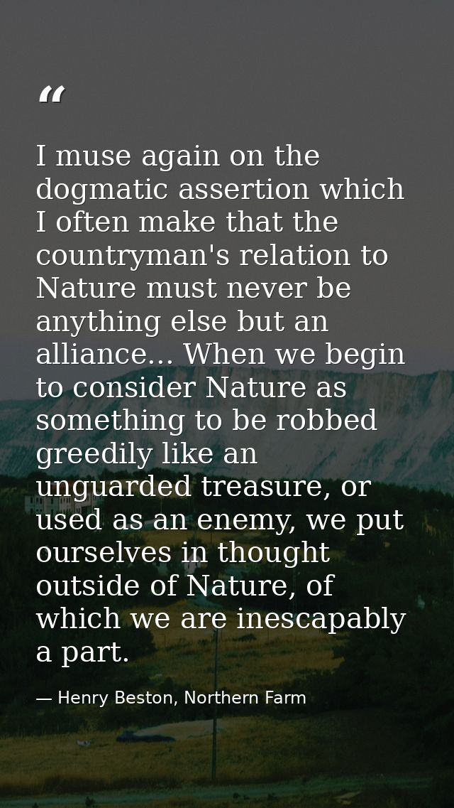I muse again on the dogmatic assertion which I often make that the countryman's relation to Nature must never be anythin — Henry Beston, Northern Farm