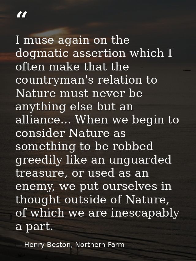 I muse again on the dogmatic assertion which I often make that the countryman's relation to Nature must never be anythin — Henry Beston, Northern Farm