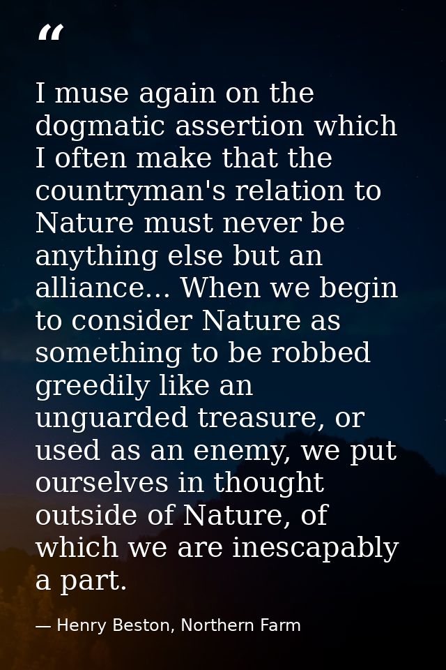 I muse again on the dogmatic assertion which I often make that the countryman's relation to Nature must never be anythin — Henry Beston, Northern Farm