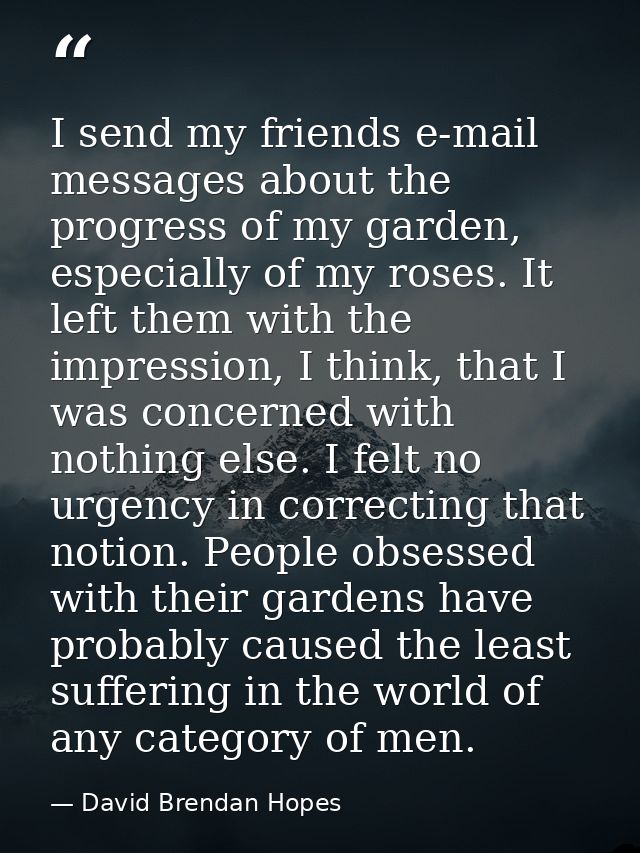 I send my friends e-mail messages about the progress of my garden, especially of my roses. It left them with the impress — David Brendan Hopes