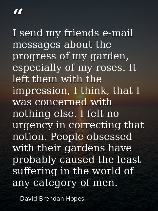 I send my friends e-mail messages about the progress of my garden, especially of my roses. It left them with the impress — David Brendan Hopes