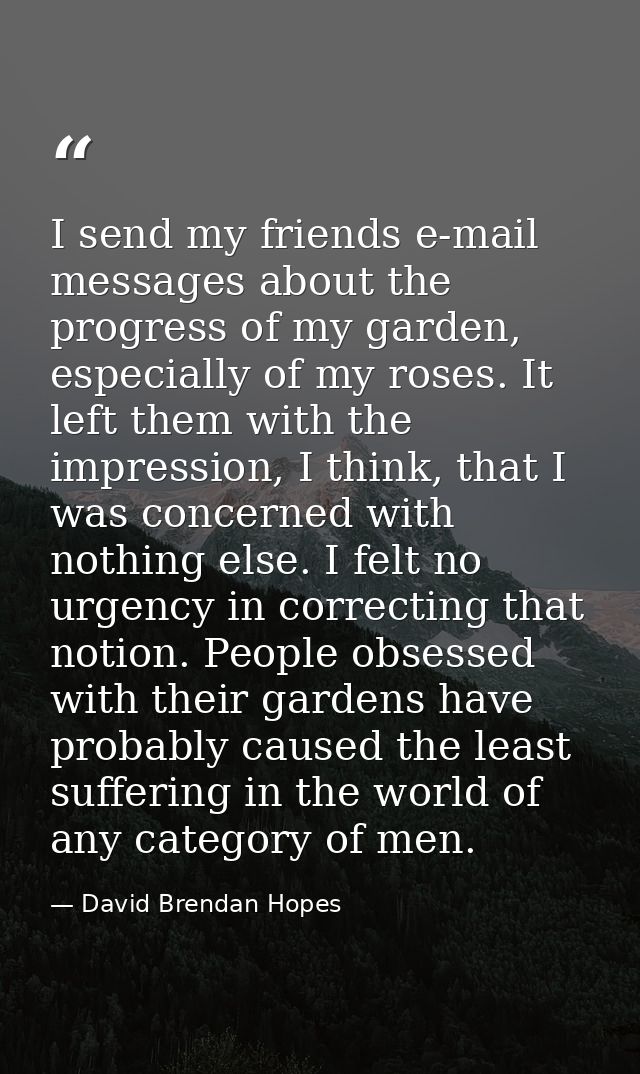 I send my friends e-mail messages about the progress of my garden, especially of my roses. It left them with the impress — David Brendan Hopes
