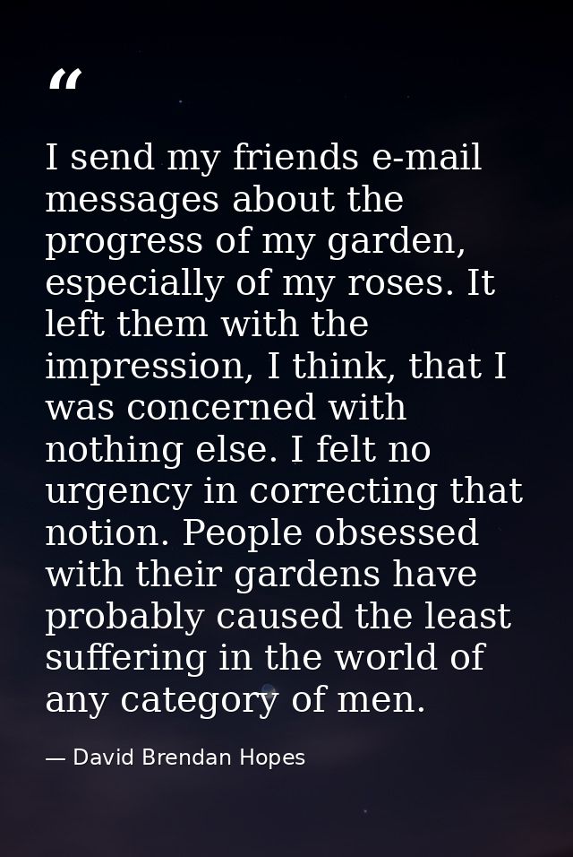I send my friends e-mail messages about the progress of my garden, especially of my roses. It left them with the impress — David Brendan Hopes