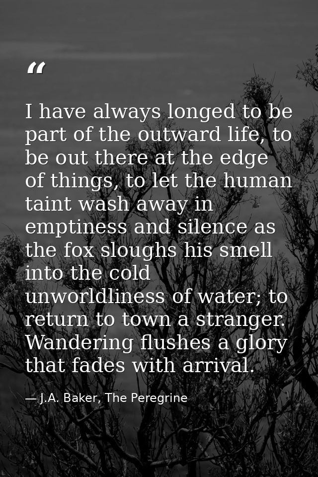 I have always longed to be part of the outward life, to be out there at the edge of things, to let the human taint wash  — J.A. Baker, The Peregrine
