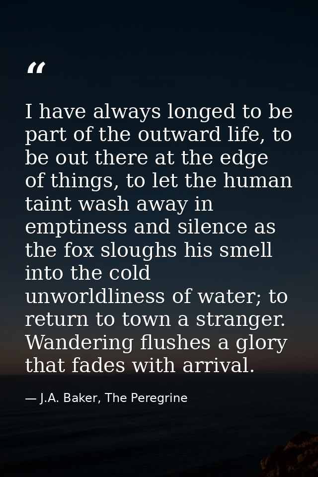I have always longed to be part of the outward life, to be out there at the edge of things, to let the human taint wash  — J.A. Baker, The Peregrine