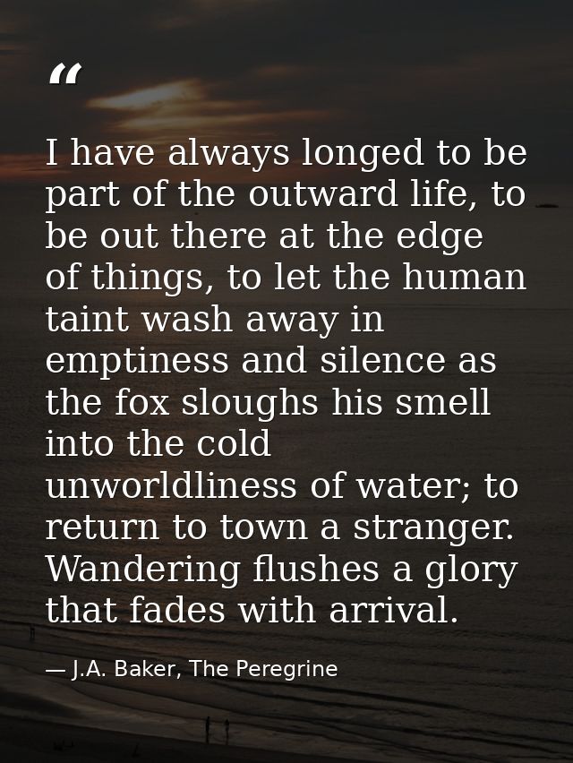 I have always longed to be part of the outward life, to be out there at the edge of things, to let the human taint wash  — J.A. Baker, The Peregrine