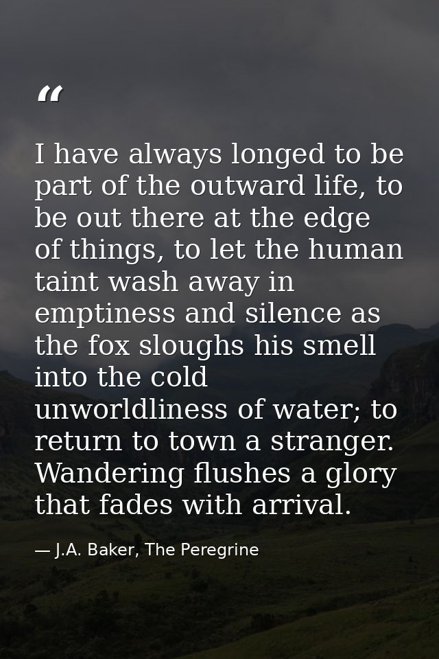 I have always longed to be part of the outward life, to be out there at the edge of things, to let the human taint wash  — J.A. Baker, The Peregrine