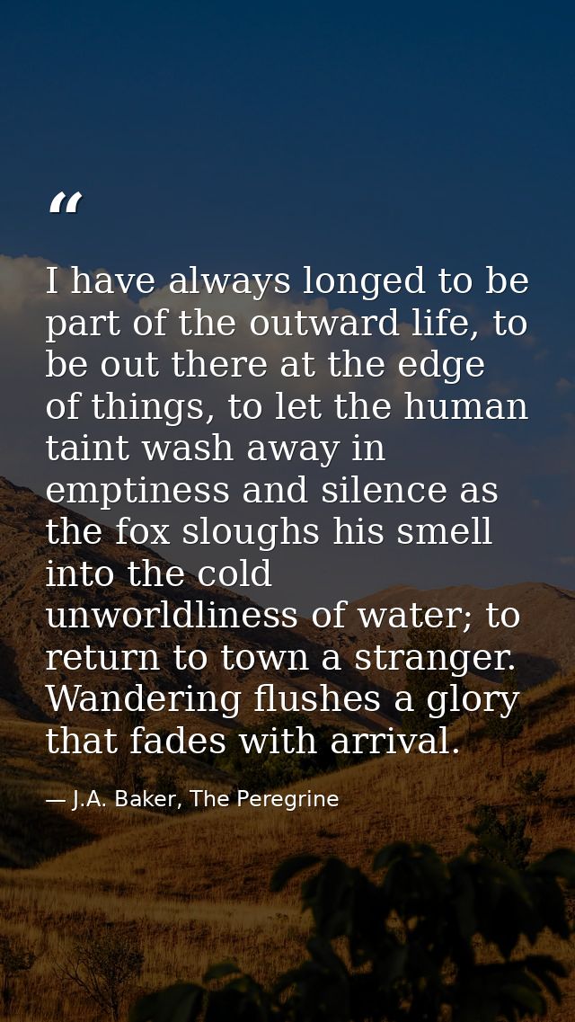 I have always longed to be part of the outward life, to be out there at the edge of things, to let the human taint wash  — J.A. Baker, The Peregrine
