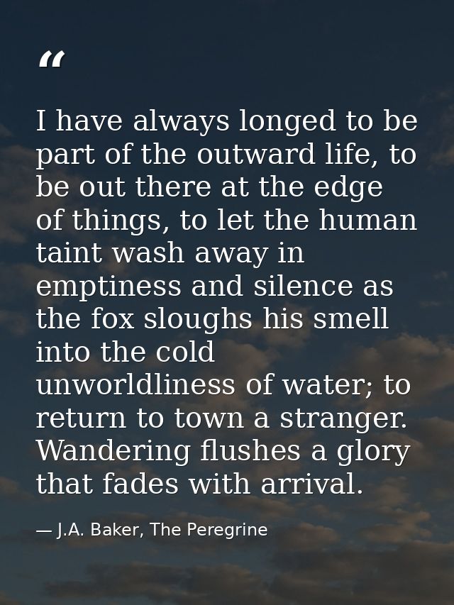 I have always longed to be part of the outward life, to be out there at the edge of things, to let the human taint wash  — J.A. Baker, The Peregrine