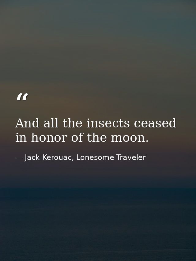 And all the insects ceased in honor of the moon. — Jack Kerouac, Lonesome Traveler