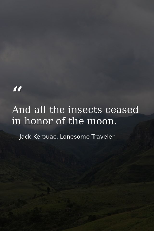 And all the insects ceased in honor of the moon. — Jack Kerouac, Lonesome Traveler
