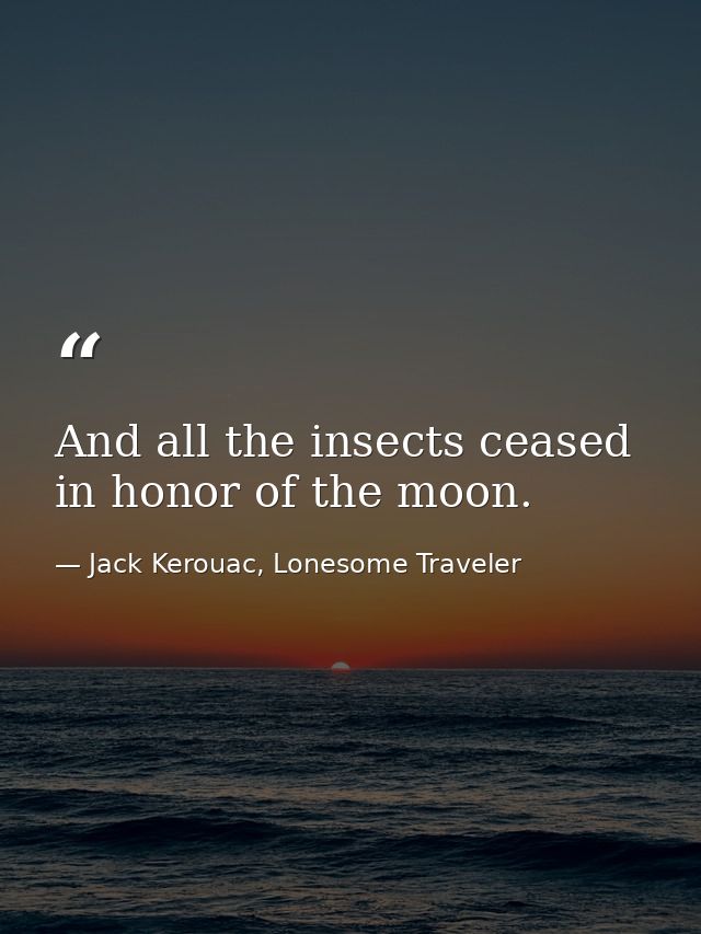 And all the insects ceased in honor of the moon. — Jack Kerouac, Lonesome Traveler