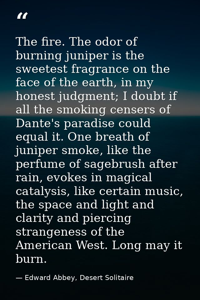 The fire. The odor of burning juniper is the sweetest fragrance on the face of the earth, in my honest judgment; I doubt — Edward Abbey, Desert Solitaire