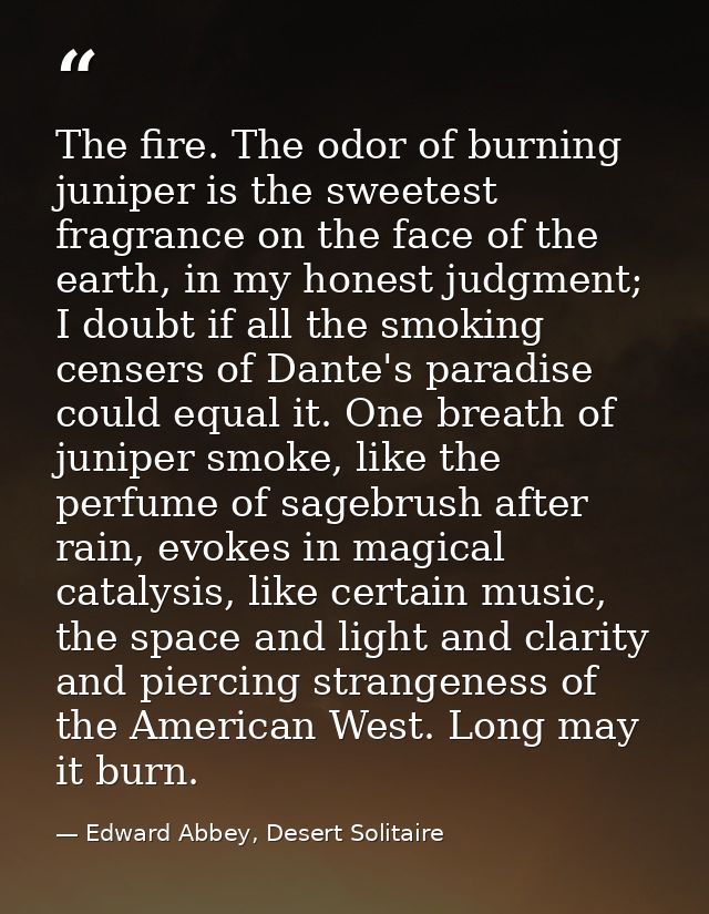 The fire. The odor of burning juniper is the sweetest fragrance on the face of the earth, in my honest judgment; I doubt — Edward Abbey, Desert Solitaire