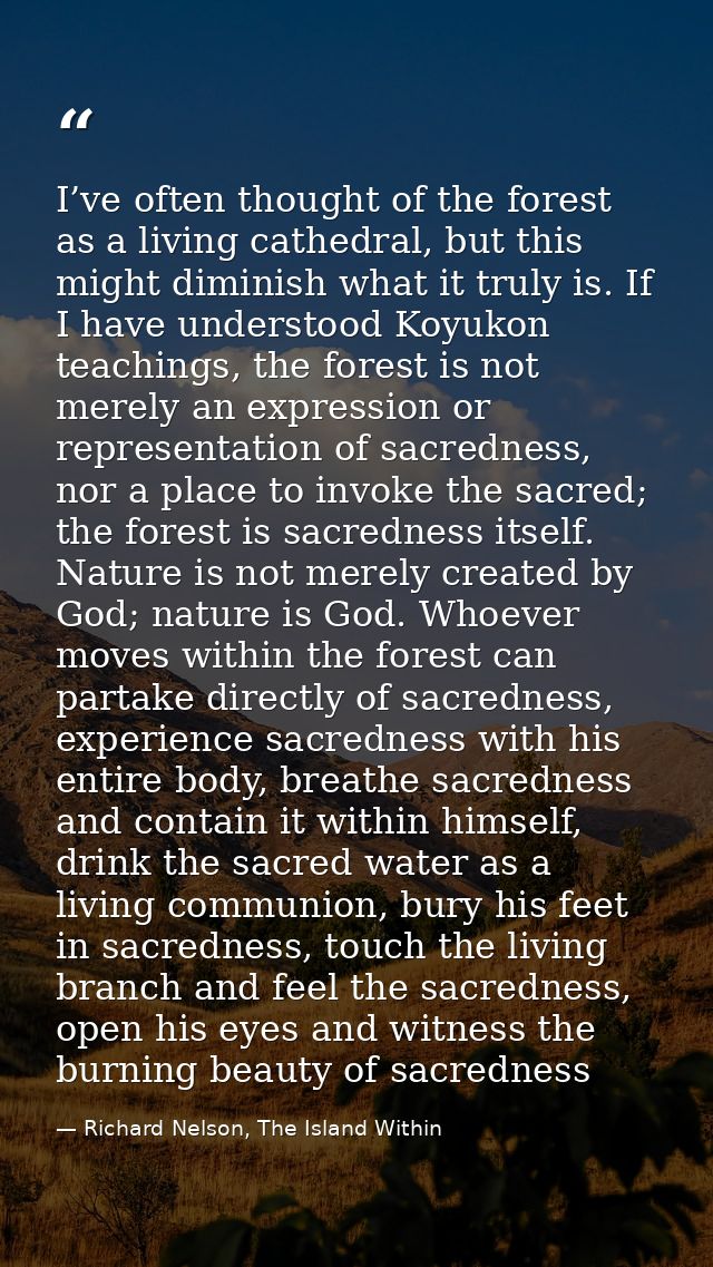 I’ve often thought of the forest as a living cathedral, but this might diminish what it truly is. If I have understood K — Richard Nelson, The Island Within