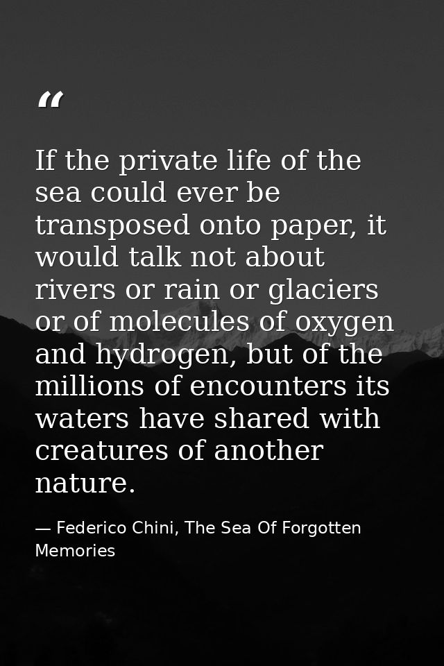 If the private life of the sea could ever be transposed onto paper, it would talk not about rivers or rain or glaciers o — Federico Chini, The Sea Of Forgotten Memories