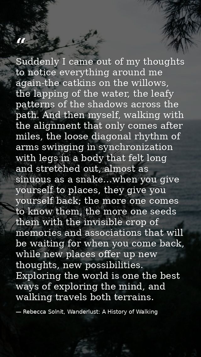 Suddenly I came out of my thoughts to notice everything around me again-the catkins on the willows, the lapping of the w — Rebecca Solnit, Wanderlust: A History of Walking