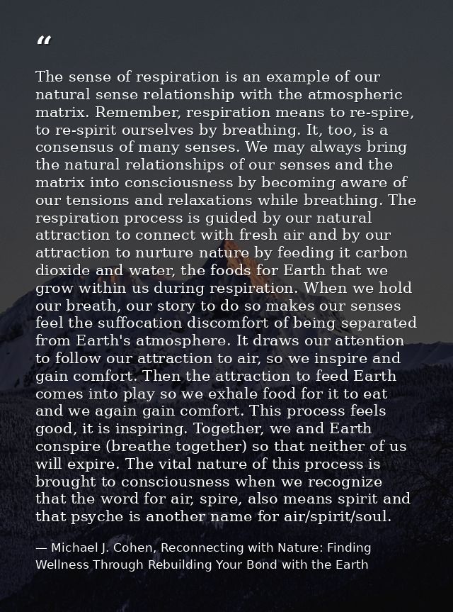 The sense of respiration is an example of our natural sense relationship with the atmospheric matrix. Remember, respirat — Michael J. Cohen, Reconnecting with Nature: Finding Wellness Through Rebuilding Your Bond with the Earth