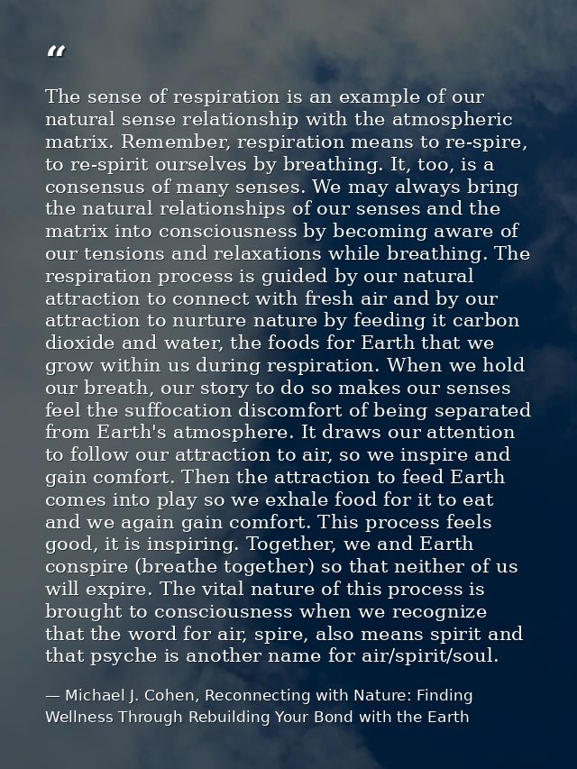 The sense of respiration is an example of our natural sense relationship with the atmospheric matrix. Remember, respirat — Michael J. Cohen, Reconnecting with Nature: Finding Wellness Through Rebuilding Your Bond with the Earth