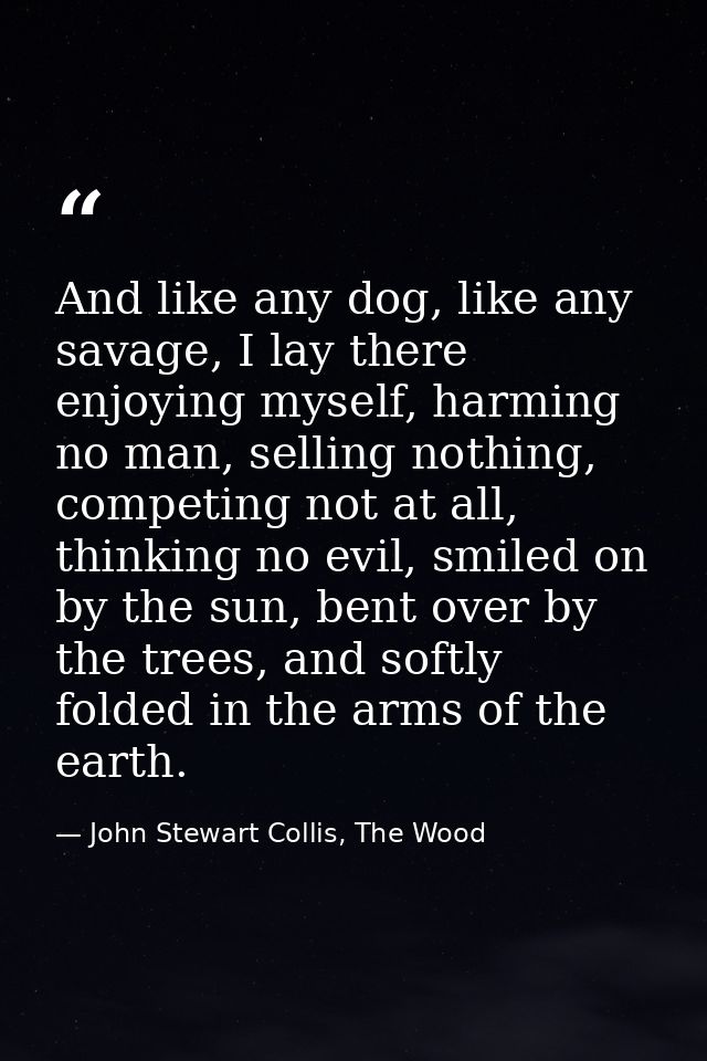 And like any dog, like any savage, I lay there enjoying myself, harming no man, selling nothing, competing not at all, t — John Stewart Collis, The Wood