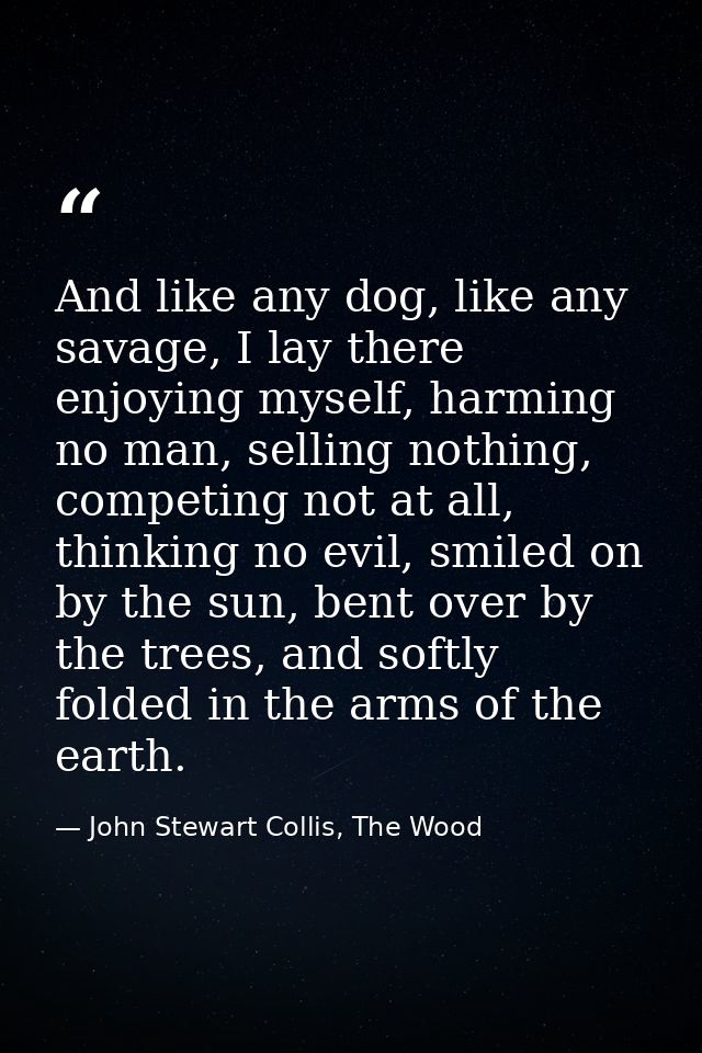 And like any dog, like any savage, I lay there enjoying myself, harming no man, selling nothing, competing not at all, t — John Stewart Collis, The Wood