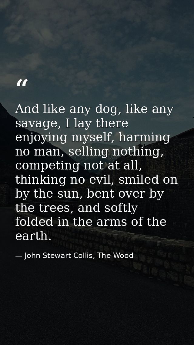 And like any dog, like any savage, I lay there enjoying myself, harming no man, selling nothing, competing not at all, t — John Stewart Collis, The Wood