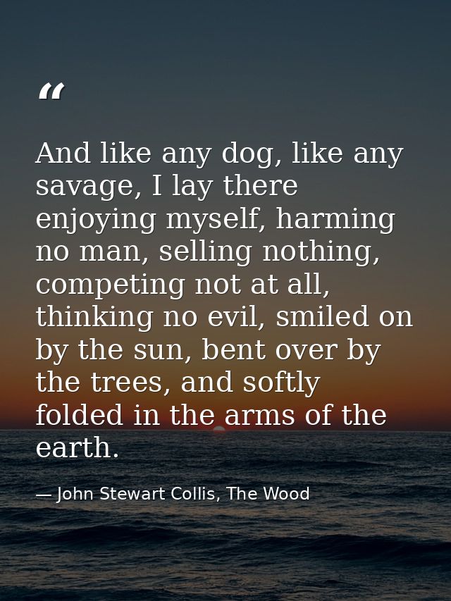 And like any dog, like any savage, I lay there enjoying myself, harming no man, selling nothing, competing not at all, t — John Stewart Collis, The Wood