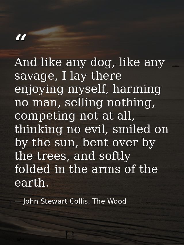 And like any dog, like any savage, I lay there enjoying myself, harming no man, selling nothing, competing not at all, t — John Stewart Collis, The Wood