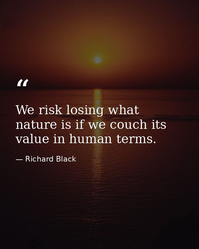 We risk losing what nature is if we couch its value in human terms. — Richard Black