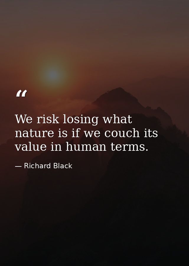 We risk losing what nature is if we couch its value in human terms. — Richard Black