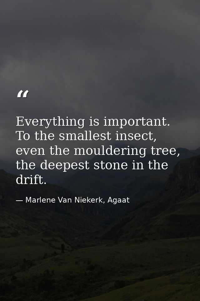 Everything is important. To the smallest insect, even the mouldering tree, the deepest stone in the drift. — Marlene Van Niekerk, Agaat