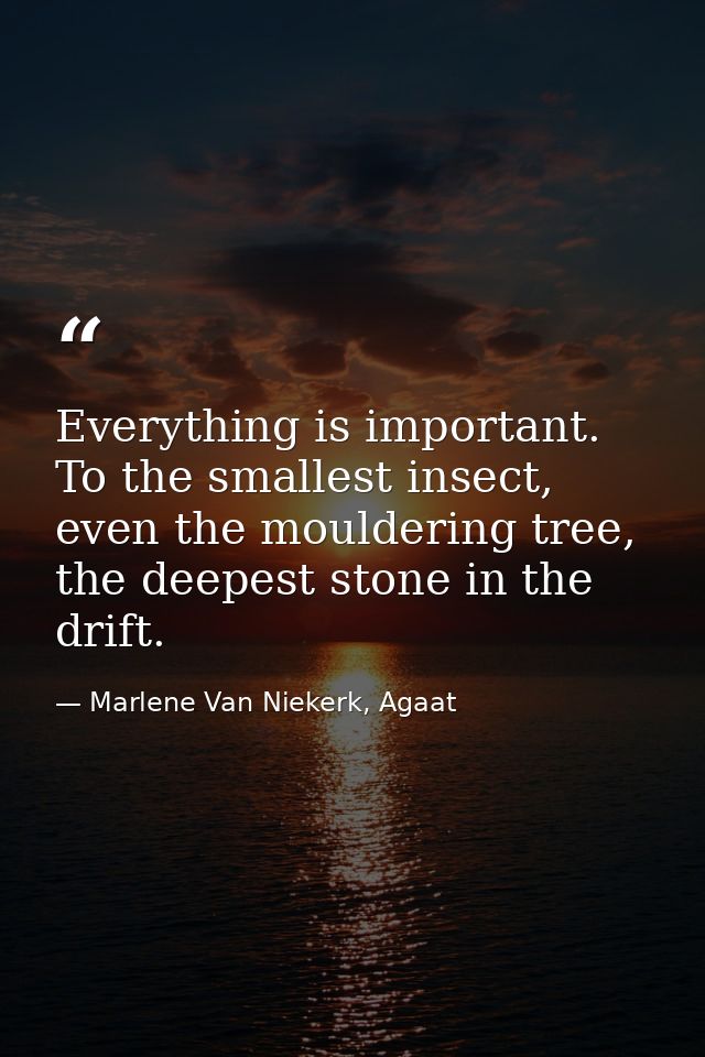 Everything is important. To the smallest insect, even the mouldering tree, the deepest stone in the drift. — Marlene Van Niekerk, Agaat